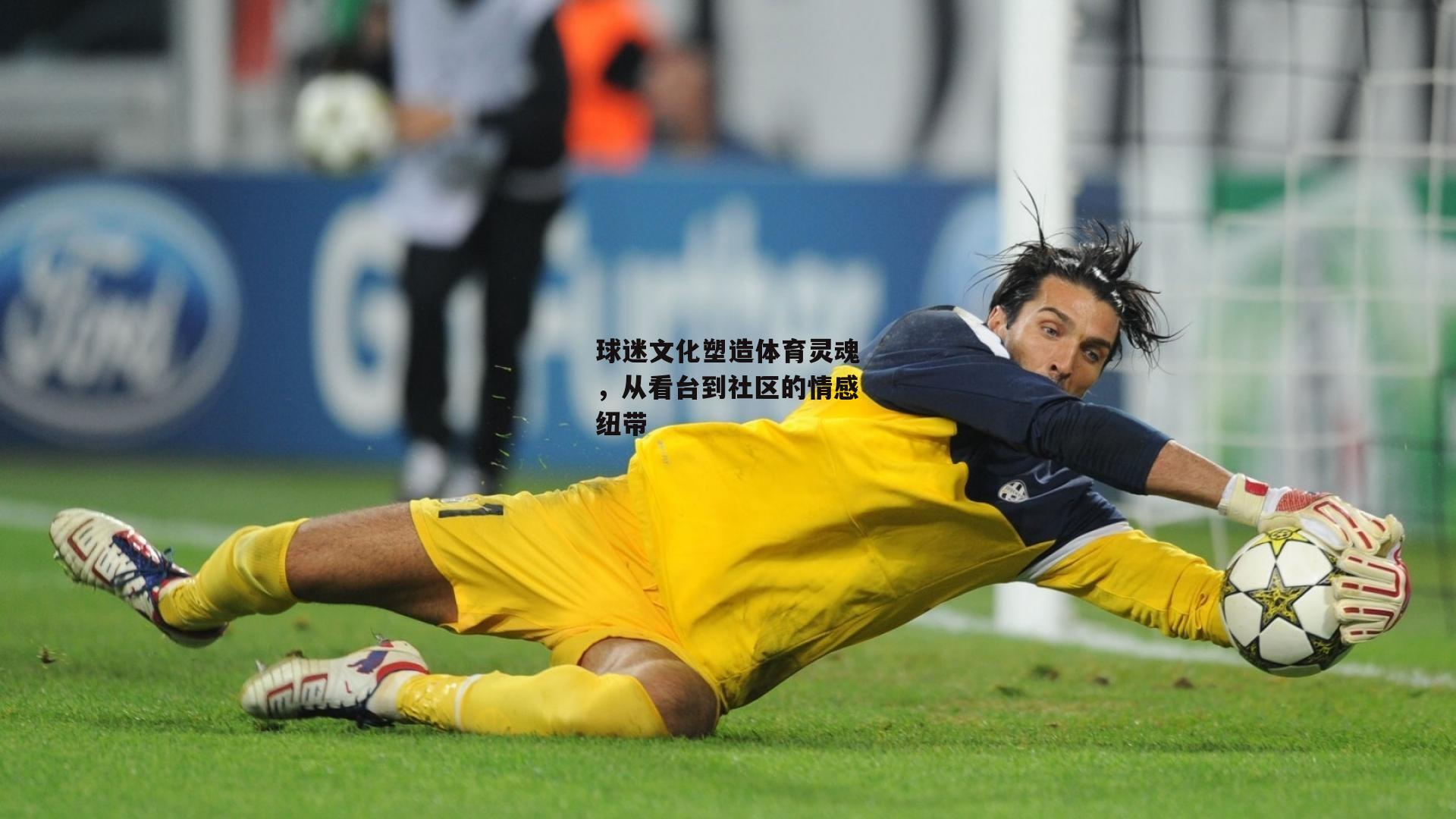  球迷文化塑造体育灵魂，从看台到社区的情感纽带_杏彩体育