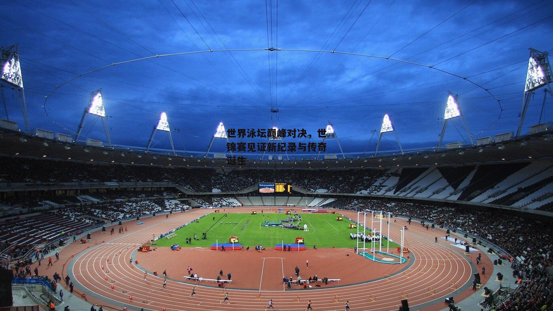 世界泳坛巅峰对决,世锦赛见证新纪录与传奇诞生